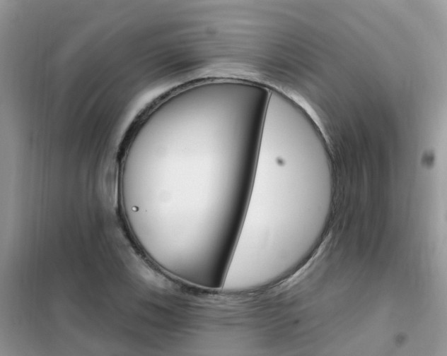 X0000102361123200808010952