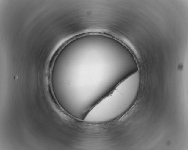 X0000102361124200808010952