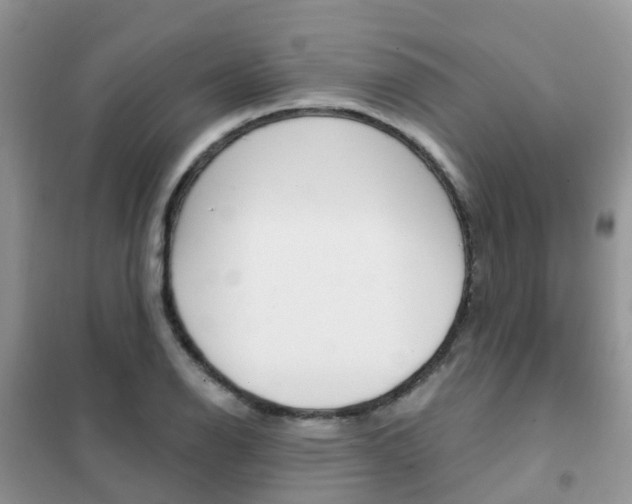 X0000102361126200808010952