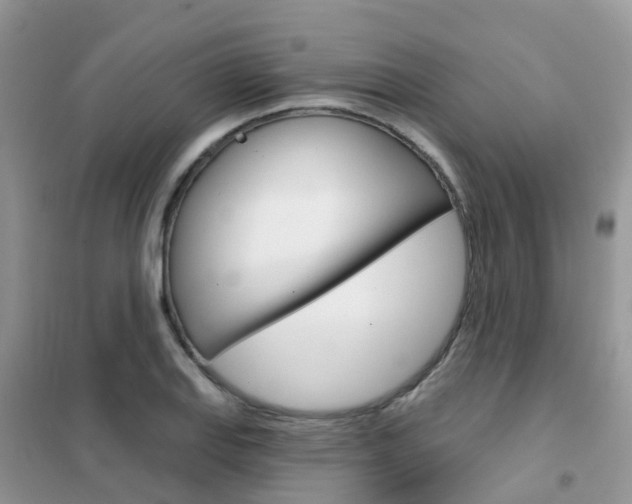 X0000102361127200808010952