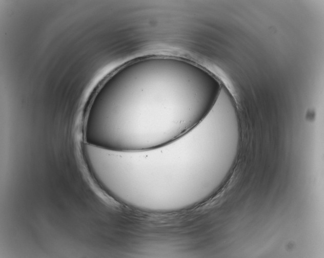 X0000102361128200808010952