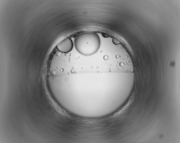X0000102361130200808010953