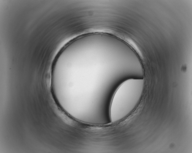 X0000102361132200808010953