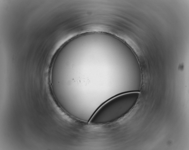 X0000102361134200808010953