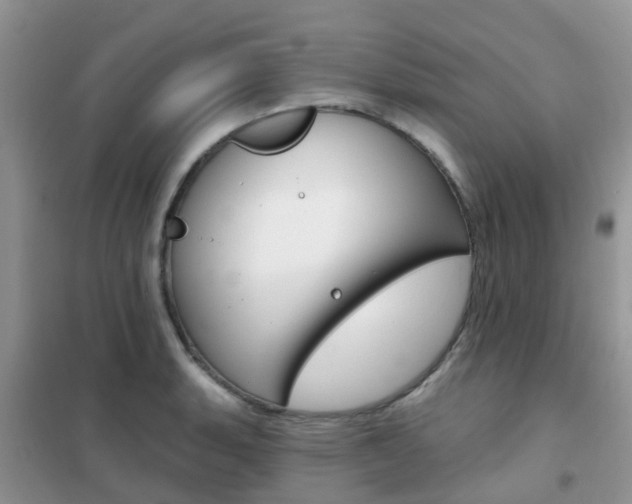 X0000102361135200808010953