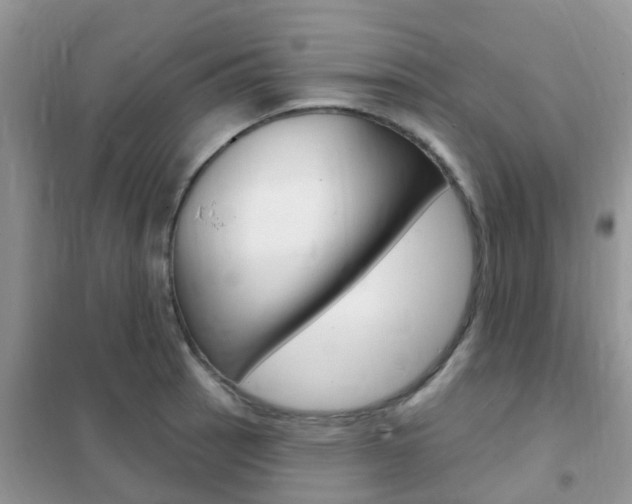 X0000102361137200808010953