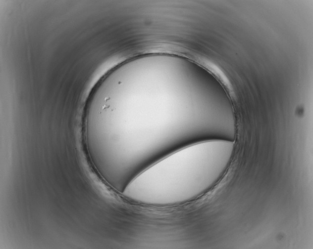 X0000102361138200808010953