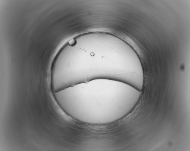 X0000102361140200808010953