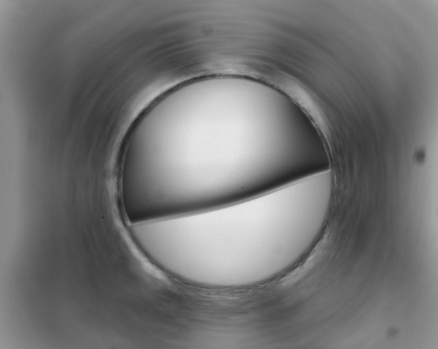 X0000102361141200808010953