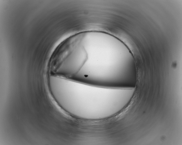 X0000102361142200808010953