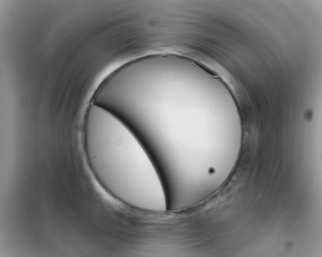 X0000102361143200808010953