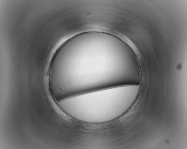 X0000102361144200808010953