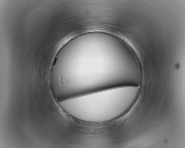 X0000102361145200808010953
