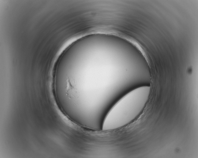 X0000102361147200808010953