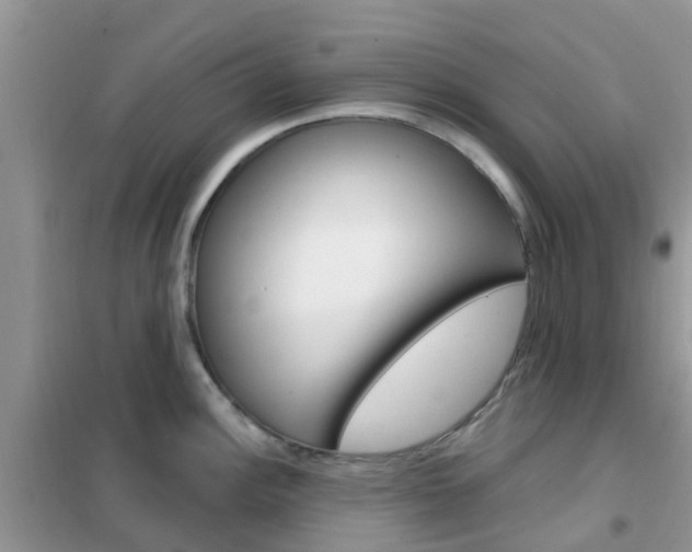 X0000102361148200808010953