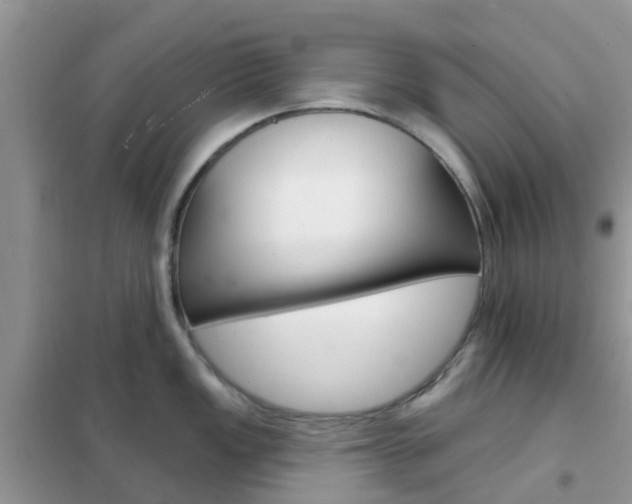 X0000102361149200808010953