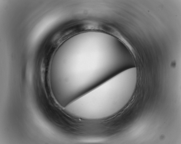 X0000102361151200808010953