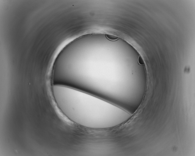X0000102361152200808010953