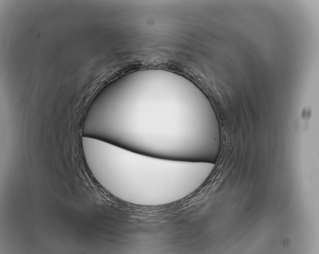X0000102361153200808010952