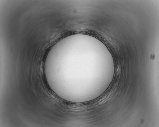 X0000102361156200808010952