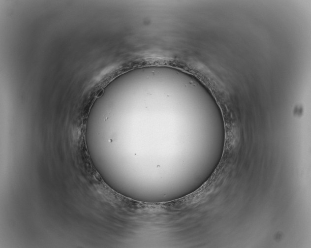 X0000102361157200808010952