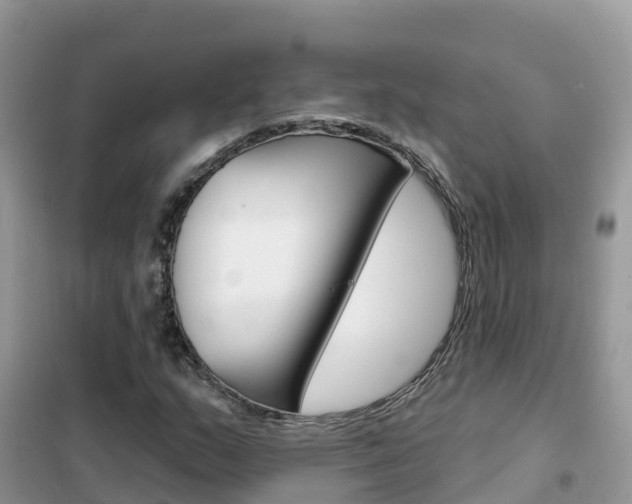 X0000102361159200808010952
