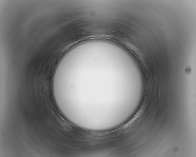 X0000102361161200808010952