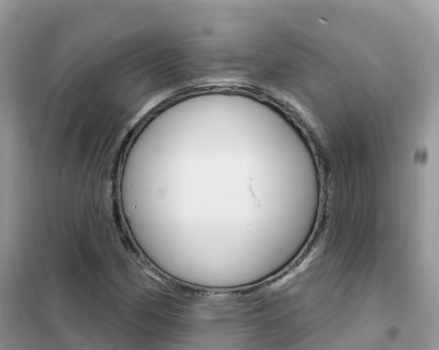 X0000102361162200808010952