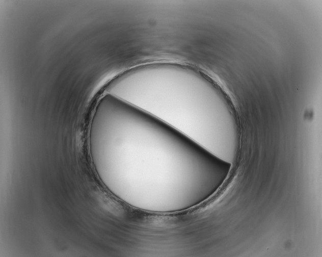 X0000102361163200808010952