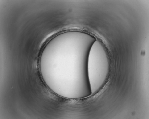 X0000102361166200808010952