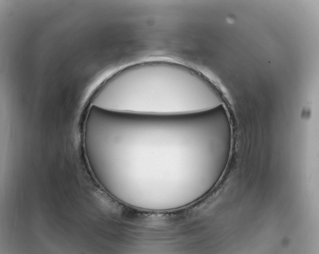 X0000102361167200808010952
