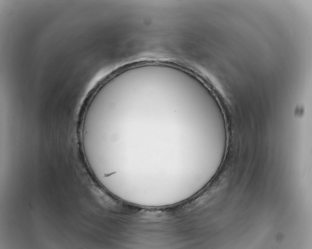 X0000102361168200808010952