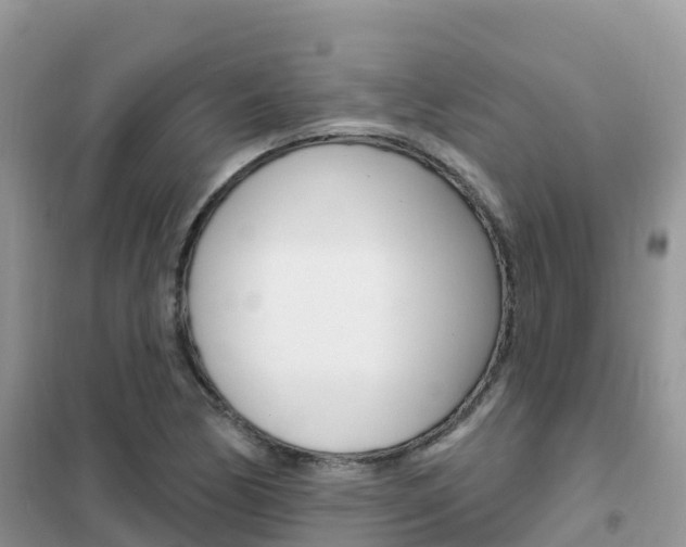 X0000102361170200808010952