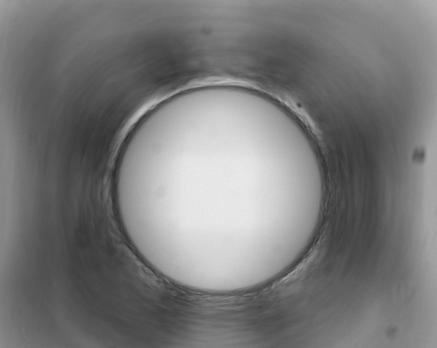 X0000102361173200808010952