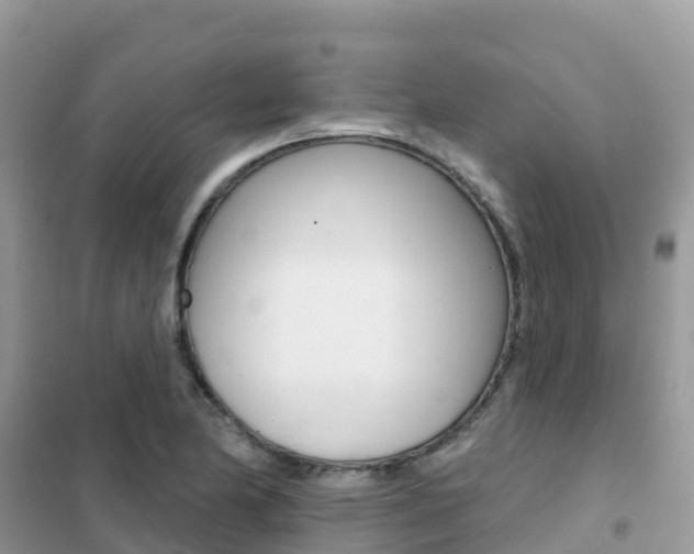 X0000102361174200808010952