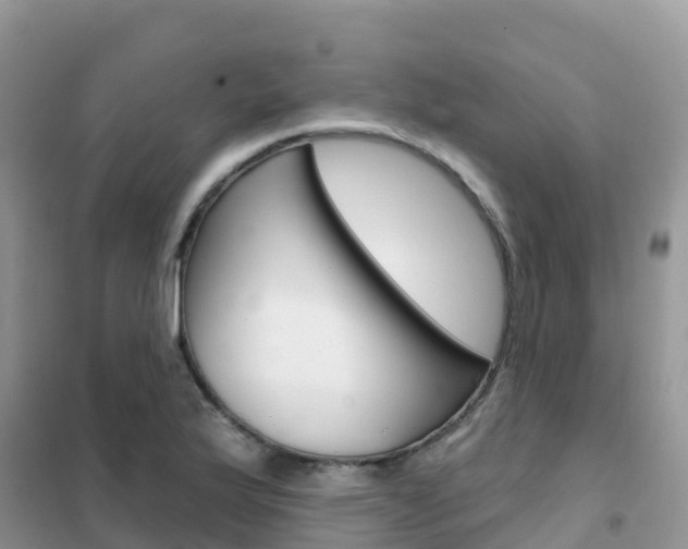 X0000102361175200808010952