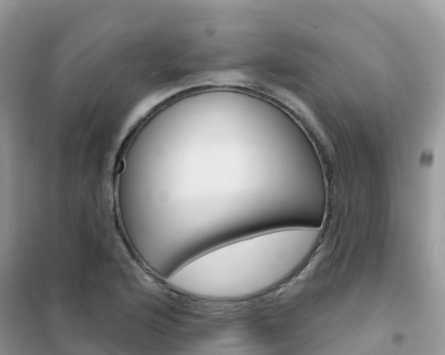 X0000102361176200808010952