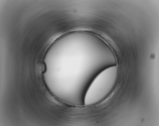 X0000102361177200808010952