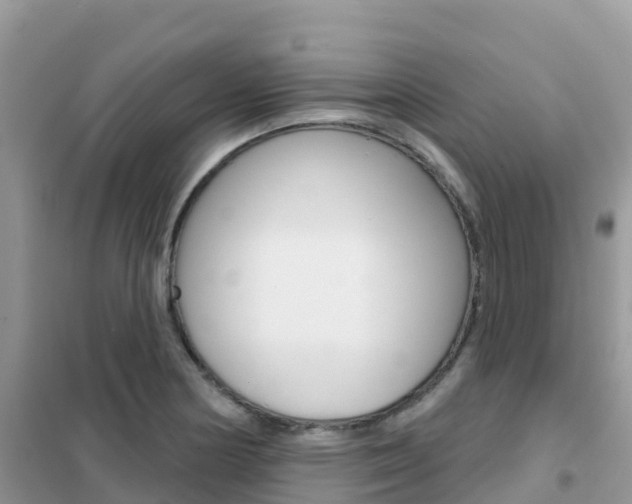X0000102361178200808010952