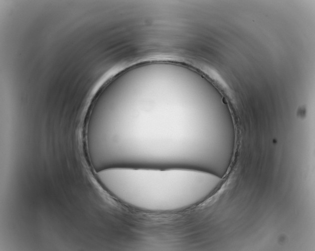 X0000102361181200808010952