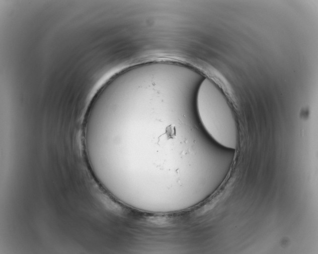 X0000102361182200808010952