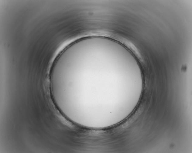 X0000102361184200808010952