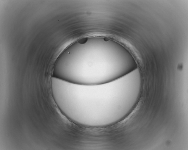 X0000102361185200808010952