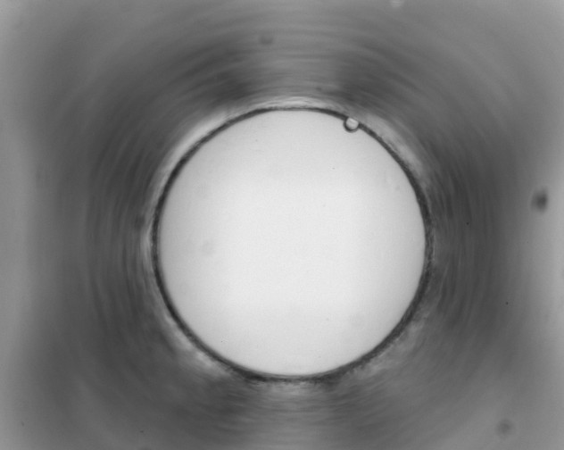 X0000102361189200808010952
