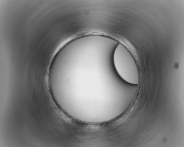 X0000102361190200808010952