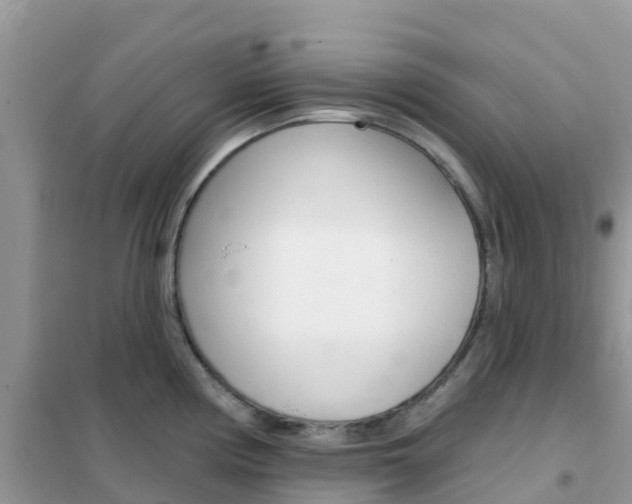 X0000102361194200808010952