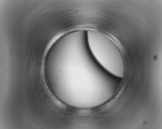 X0000102361196200808010952