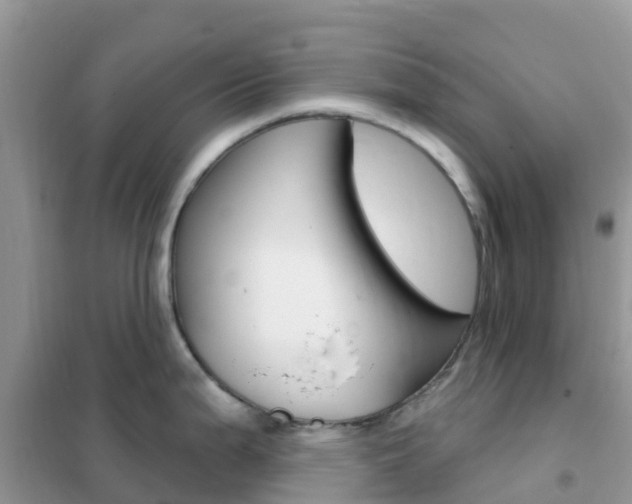 X0000102361199200808010952