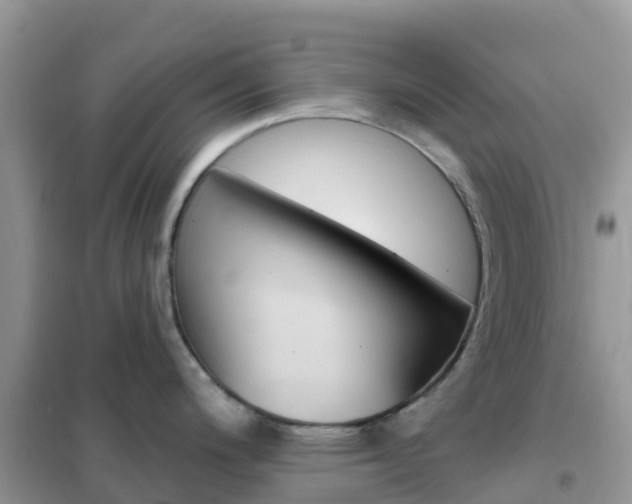 X0000102361200200808010951