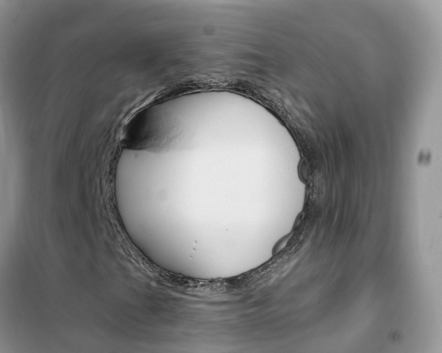 X0000102361201200808010951